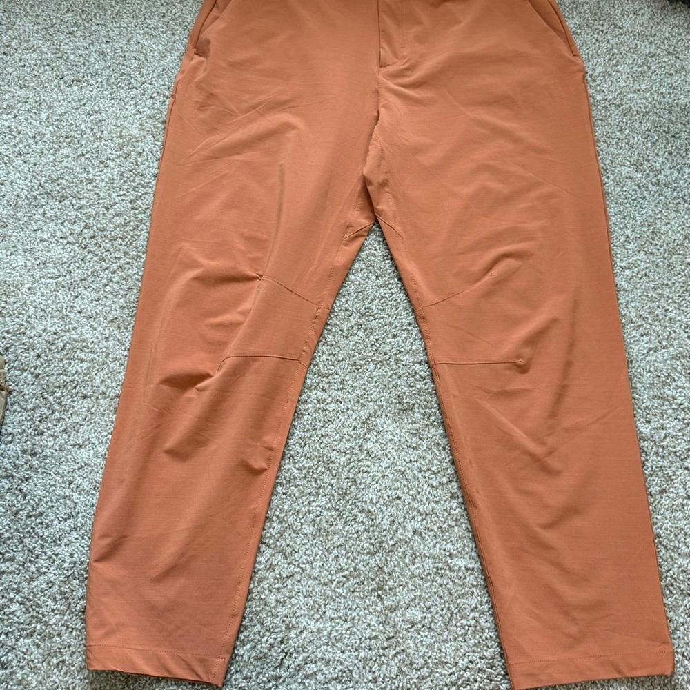 Fabletics Men's Terracotta Chinos